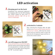 Luces LED multicolor para el interior del coche con mando a distancia